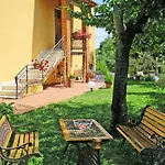 Pierotta - Arezzo *